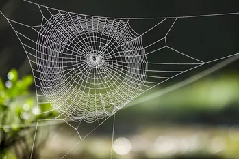 Spider Web Slinging Technology Inspired by Spider-Man